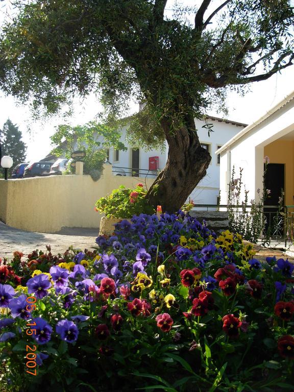 Marilena Hotel Ípszosz Kültér fotó